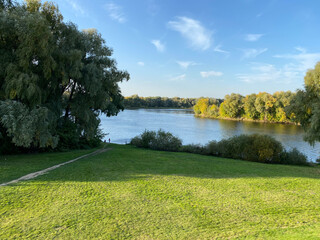 Naklejka premium lake in the park