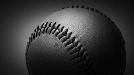 Baseball In Black And White Style 