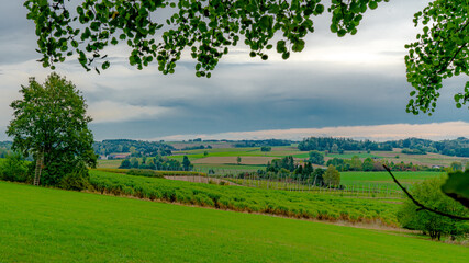 landscape of hops region
