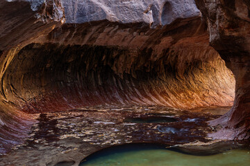 The Subway, Zion National Park