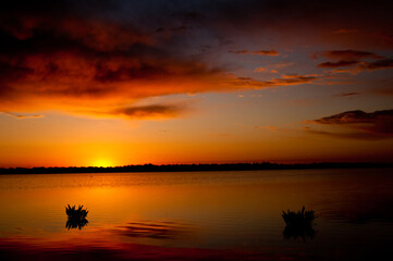 Obraz premium Amanecer en la marisma