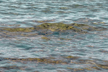 surface of the Adriatic Sea with a small wave