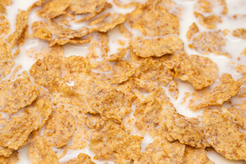 Corn flakes and milk for healthy breakfast. Macro shot.