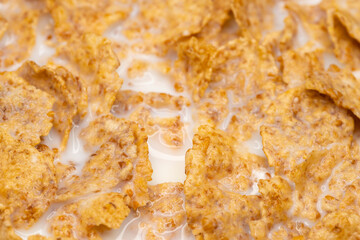 Corn flakes and milk for healthy breakfast. Macro shot.