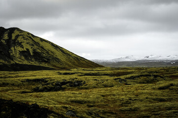 Iceland moss mountain. Surreal landscapes
