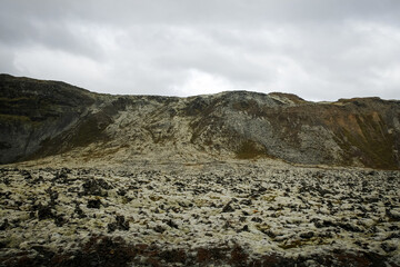 Fototapeta na wymiar Iceland moss mountain. Surreal landscapes