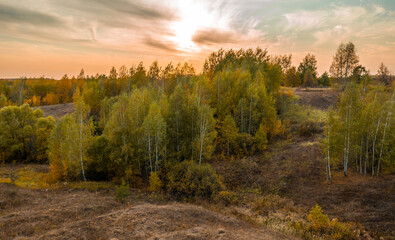 Obraz premium Landscape with beautiful autumn trees growing on the slopes of the ravine, against the background of a pink sunset