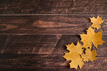 Naklejka na ściany i meble yellow autumn maple leaves lie on a brown wooden background, autumn background, September, October, November, dry autumn leaves, leaf fall, copyspace, flatlay, top view, overhead