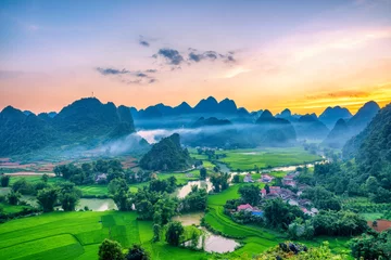 Fotobehang Beautiful step of rice terrace paddle field in sunset and dawn at Trung Khanh, Cao Bang. © VietDung