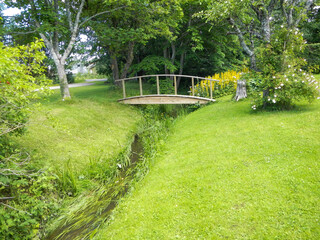 path in the park and a bridge over the water