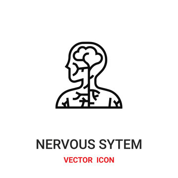 Nervous system vector icon. Modern, simple flat vector illustration for website or mobile app. Neurology symbol, logo illustration. Pixel perfect vector graphics	
