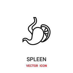 Obraz premium spleen icon vector symbol. spleen symbol icon vector for your design. Modern outline icon for your website and mobile app design.