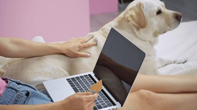 cropped view of woman using laptop and holding credit card near dog on bed