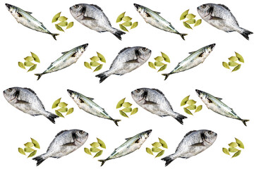 White background with sea bass and dorado next to laurel. Concept food