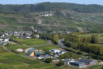 Moselschleife bei Pünderisch