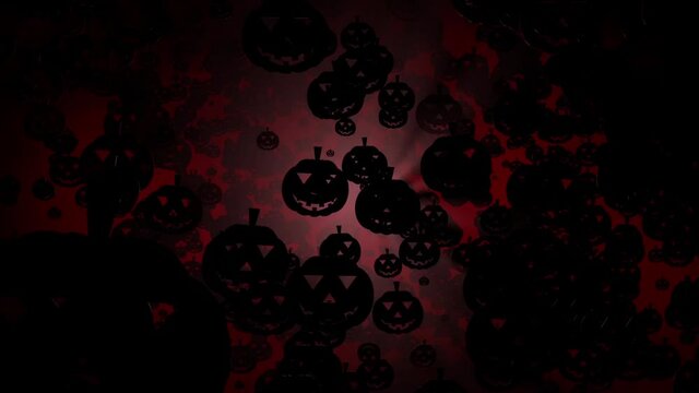 Halloween zucche.