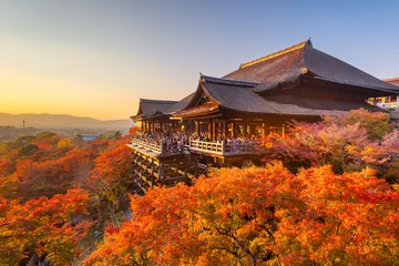 Poster Kyoto, Japan bij de Kiyomizu-dera-tempel in de herfst © SeanPavonePhoto