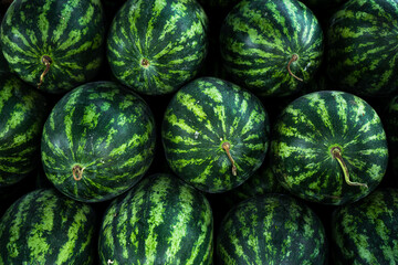 Watermelon for sale in the market