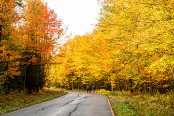 Autumnal view of a group of hikers walking on a road