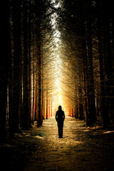 Silhouette einer Person auf einem Waldweg im Gegenlicht