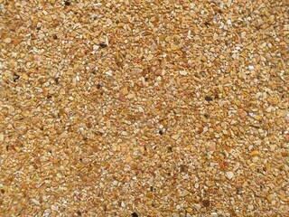 The cement wall consists of small pebbles.