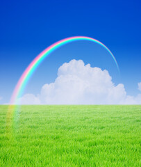 草原と雲に虹