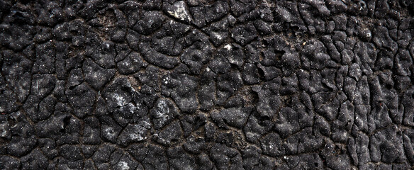 Abstract cracked old black texture. Dry resin background