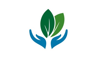 leaf care vector 