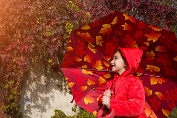 A little girl in a red jacket with a hood under an umbrella with an ornament of autumn leaves in Sunny weather enjoys the Indian summer. Children's emotions, space for text