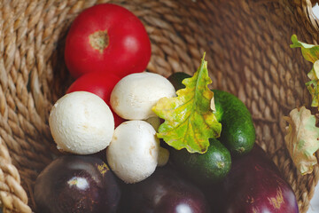 mushrooms champignons, fresh vegetables cucumbers, tomatoes, eggplants and autumn oak leaf in a natural wicker basket,