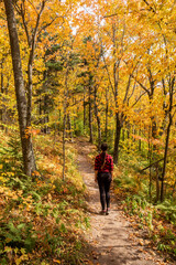 Obraz premium Autumnal view of a woman walking in a forest