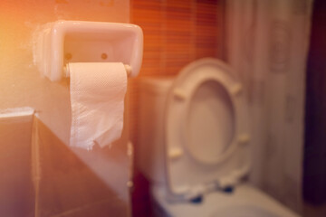 Tissue roll in toilet for people