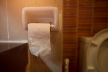 Tissue roll in toilet for people