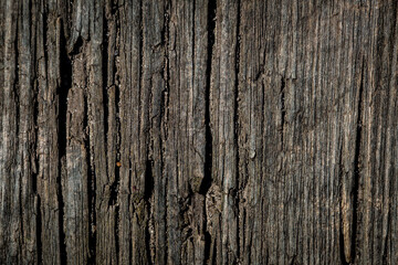 closeup of old rustic wood plank