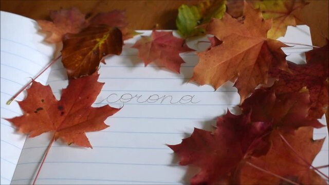 Bl&auml;tter werden weggeblasen und geben die Schrift Corona frei, Schrift mit herbstlichen Bl&auml;ttern, rote Ahornbl&auml;tter umkreisen das Wort Corona, das auf Schulheft mit Linien geschrieben ist