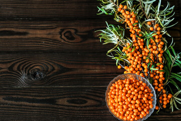 sea buckthorn twigs and berries on a dark wooden surface