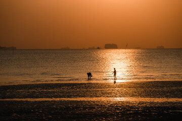 Fototapeta premium Silhouette of two people playing on the beach during sunset