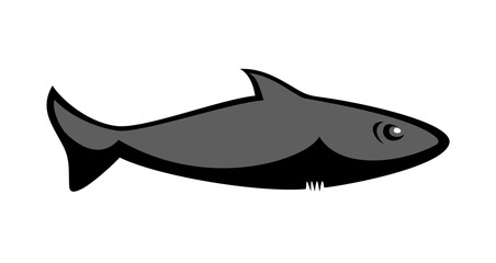 creative shark fish illustration