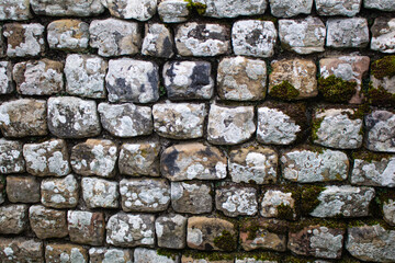 A dry stone wall with lichen growing on it
