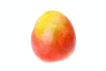 One ripe mango