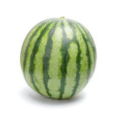 Single green striped watermelon