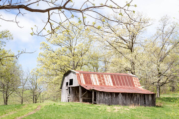 old barn in the field