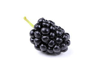 Blackberry, dewberry isolated on a white background. bramble isolated. Healthy food