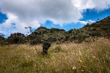 Paisajes de los cerros orientales de Bogotá via la Calera y Choachí, cultivos de papa y paisajes...