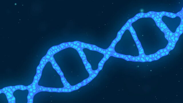 DNA double helix. Animation of DNA construction. Science animation. Genom futuristic footage. Conceptual design of genetics information. 