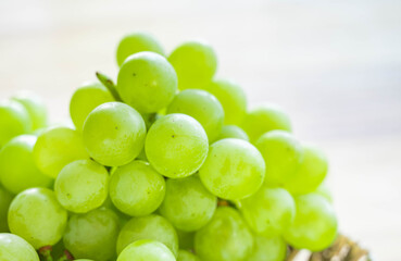 ナイアガラぶどう