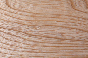 センの木目 © Paylessimages