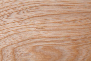 センの木目 © Paylessimages