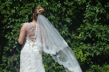 A bride in a white dress with a veil stands by a hedge