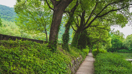 Fototapeta na wymiar Footpath between trees in Lanting (Orchid Pavilion) scenic area, Shaoxing, China